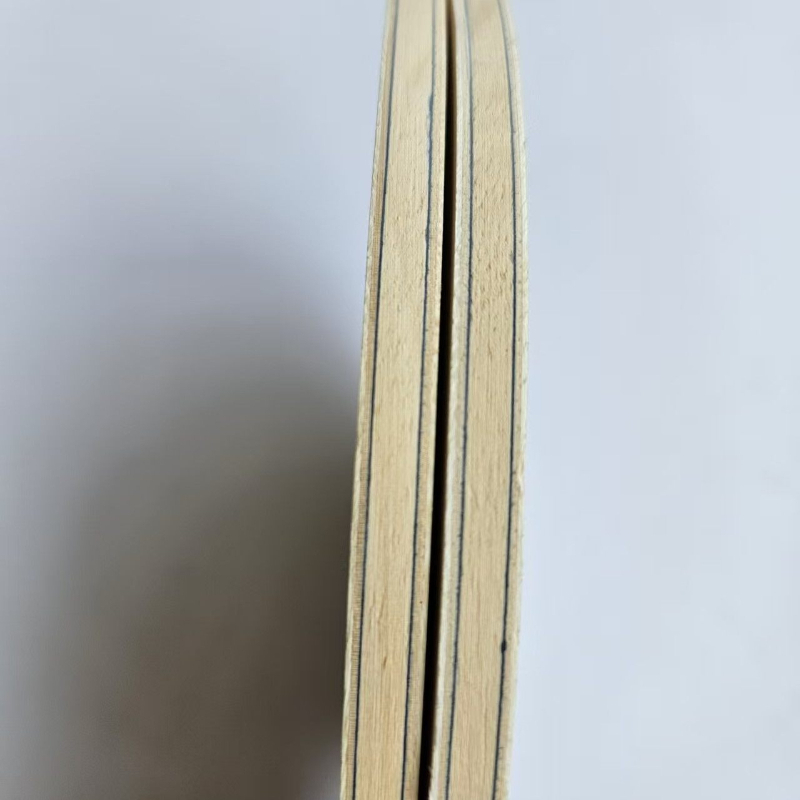 DIY FL/CS Table Tennis Racket  - Badminton Background ulasan dan harga